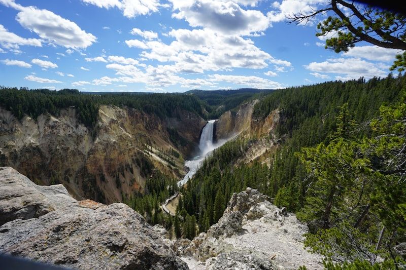 Yellowstone Bans Dogs on Every Trail — Here's What's Left (2026)